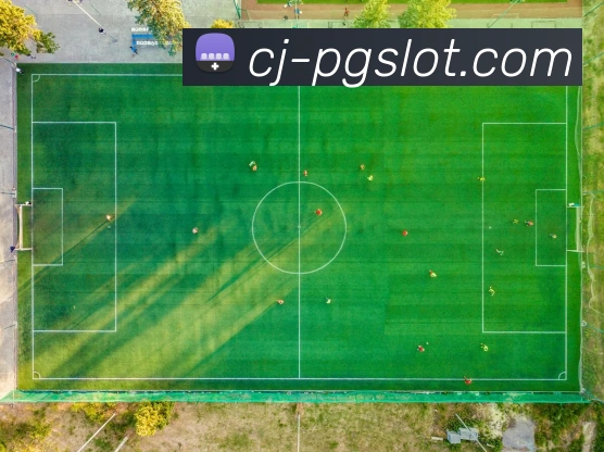 麻将胡了PG官网发展历程